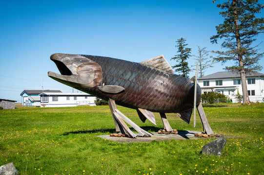 Sandspit, BC, Canada &ndash; September 6, 2025: The "Spirit of Sandspit" salmon sculpture by artist Lon Sharp. The copper and cedar monument stands in a grassy field with homes and a blue summer sky in the 