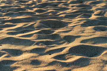 Close-up of golden hour light casting soft shadows over textured sand dunes on a quiet beach.