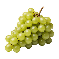 Green Grapes Cluster Illustration .