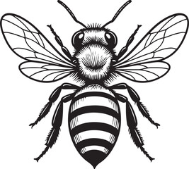 Honey Bee Low-Angle Macro.eps