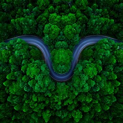 Drone View of U Turn Road in Lush Green Forest