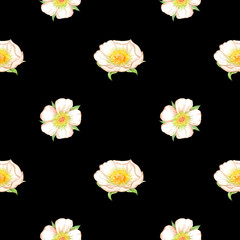 A seamless pattern for fabric or packaging featuring a delicate white flower. A simple yet elegant endless floral design. Trendy hand drawn watercolor illustration for design packaging, wrapping gifts