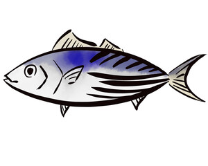 Simple Hand-Drawn Bonito Illustration