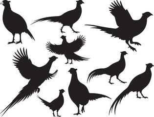 Pheasant Bird Silhouettes