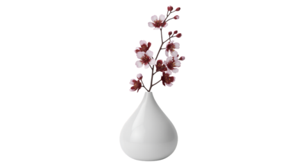 Minimalist white ceramic teardrop vase with delicate pink cherry blossom branch isolated on transparent background
