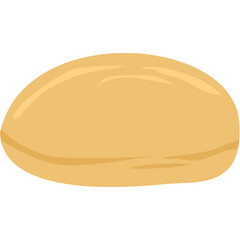 Kombucha fermented tea scoby