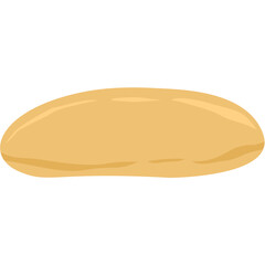 Kombucha fermented tea scoby