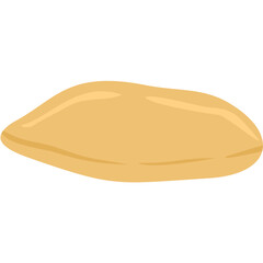 Kombucha fermented tea scoby