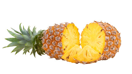 Vector of Fresh Pineapple Slices and Whole Pineapple on Transparent Background