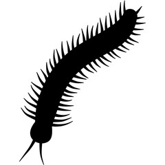 Millipede