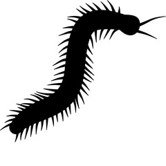 Millipede