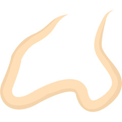 Roundworm Parasite