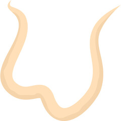 Obraz premium Roundworm Parasite