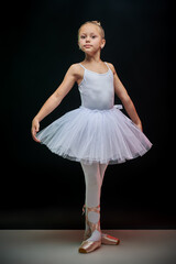 Naklejka premium Elegant Ballet Form