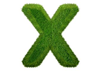 Grass font 3d rendering letter X isolated on a transparent or white background
