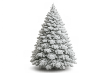 Snow-covered evergreen tree standing isolated on a transparent background, depicting winter holidays, christmas, and festive occasions