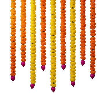 Traditional Indian Marigold Flower Garlands Decoration on Black Background for Festivals and Weddings