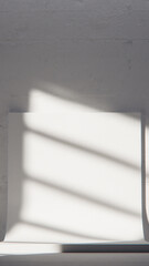 Minimal 3D scene with curved white backdrop and concrete texture. Ideal for product display, branding, and modern design mockups with natural light and shadow play.