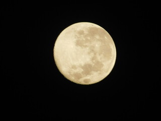 Detailed close-up view of a yellow waxing crescent moon with visible craters against a dark black sky