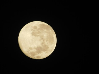 Detailed close-up view of a yellow waxing crescent moon with visible craters against a dark black sky