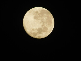 Detailed close-up view of a yellow waxing crescent moon with visible craters against a dark black sky