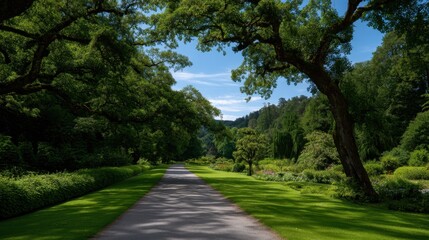 Lush Green Canopy Over Winding Path in Flourishing Garden Landscape