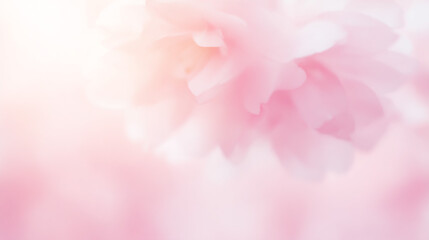 Fototapeta premium やわらかな光に包まれたピンクの花の幻想的なマクロ背景