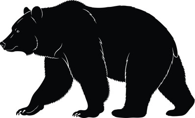Black Silhouette of a Large North American Brown Bear Walking or Strolling, Isolated Vector Illustration of Wildlife Animal for Nature and Wilderness Concepts