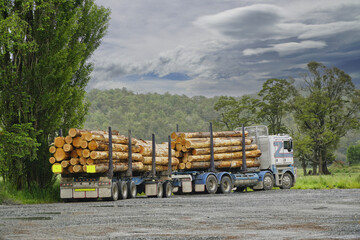 Logging truck carrying timber