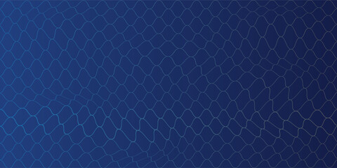 Mesh texture for fishing nets. Seamless pattern for sportswear or soccer goal, volleyball net, basketball hoop, hockey, athletics. Abstract net background for sports, ePS10 © Abd