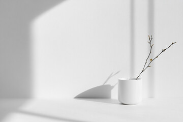Minimal White Vase with Branch in Soft Shadow