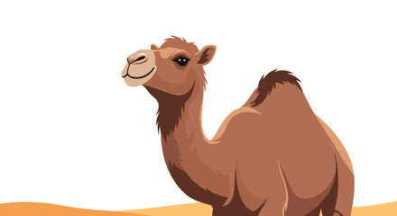 Close-up of a calm and smiling dromedary camel with one hump, standing in the desert against a clean white background.