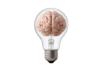 Human brain inside clear glass light bulb against black background lightbulb idea, Png, Isolated on Transparent Background, Cut Out