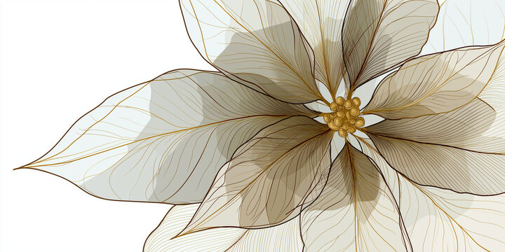 Elegant Botanical Design, Translucent Poinsettia Leaves Featuring Layered Veins And Fine Detail