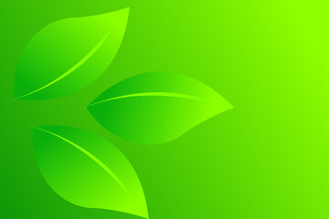 Eco Green Abstract Background with Soft Gradient Leaves