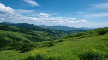 Fototapeta premium Vibrant Panorama of Lush Green Hills Embraced by Bright Spring Skies and Wildflowers