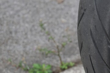 Close-up View of Motorcycle Tire on Urban Surface with Green Plant Peeking Through