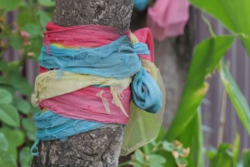 Colorful Fabric Strips Wrapped Around Tree Trunk in Natural Green Environment