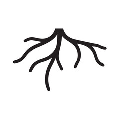 Root Network Fusion Combining Organic Branches And Linear Grid Structure