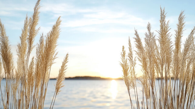 Golden reed grass coastal sunset calm water pastel sky backlit silhouette horizon glow beach - Powered by Adobe