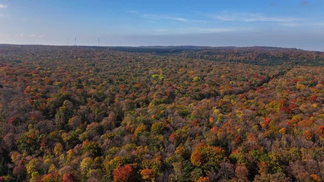 Aerial drone view of mixed mountain forest in full autumn colors near Cirque du Fer‑&agrave;‑Cheval in the Giffre Valley, Sixt‑Fer‑&agrave;‑Cheval, Haute‑Savoie, France.