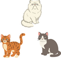 set of funny cats