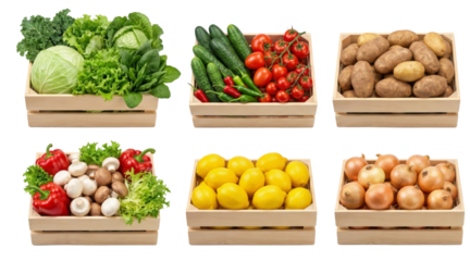 Assortment of fresh produce in wooden crates isolated on a clean backdrop