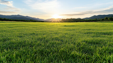Green field sunrise meadow grassland with distant mountain silhouette and calm sky