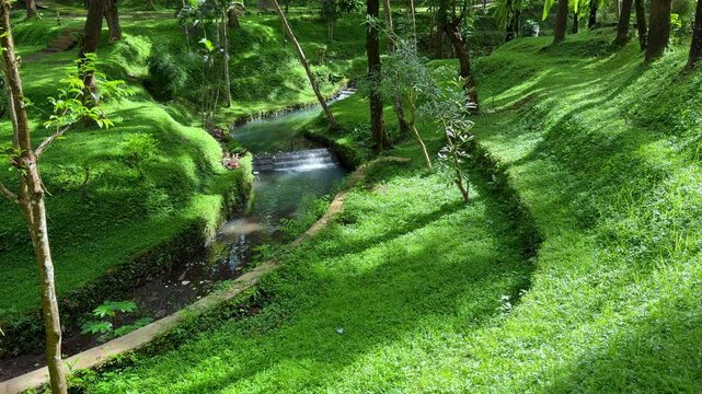 Lush green hillsides and a tranquil stream with small cascades under dappled sunlight in a verdant forest setting. Nature videos or flowing water ASMR loops.