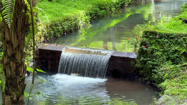 A serene natural waterfall cascades into a clear jungle stream surrounded by lush vibrant green foliage and tropical plant life. Waterfall Nature videos or flowing water ASMR loops.