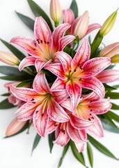 Fototapeta premium Bouquet of pink lilies isolated on white background flower gifts and florist shop concept top view funeral flowers grief death flower loss ceremony floral sadness cemetery mourning dead