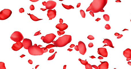 Red rose petals sway in the wind. Isolated on alpha background. 3D rendering.
