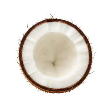 Half coconut isolated on transparent background