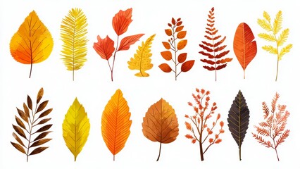 Obraz premium Collection of Hand-Drawn Autumn Leaves and Branches in Vibrant Colors